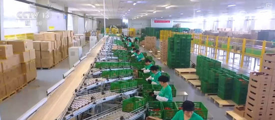 100億、10億、8.7萬億!鄉村特色產業領域拓寬 發展韌性強