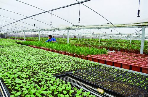 全省推進 農產品出村進城工程 溫州2地被列為省級試點縣