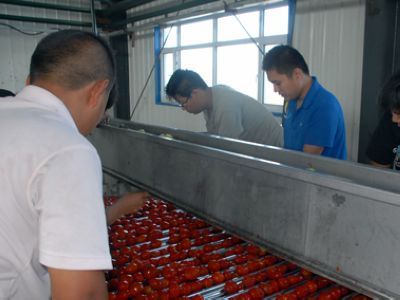134團開足馬力加工番茄 - 國內(nèi)新聞 - 新聞資訊 - 農(nóng)村信息網(wǎng)-農(nóng)業(yè)信息-農(nóng)民工招聘-農(nóng)產(chǎn)品價格行情-養(yǎng)殖技術