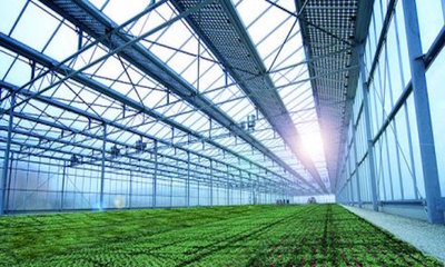 農(nóng)業(yè)也能玩轉高科技,看傳統(tǒng)農(nóng)業(yè)如何向生態(tài)農(nóng)業(yè)轉變?