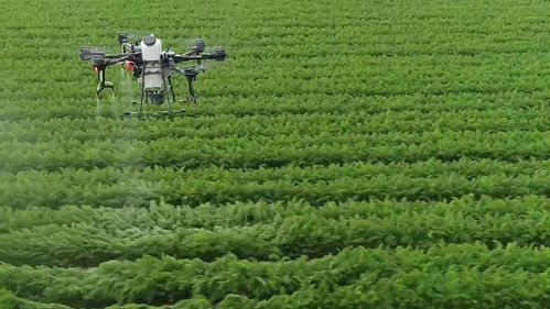 青島這場(chǎng)會(huì)議吹響了農(nóng)業(yè)農(nóng)村工作新局面的號(hào)角