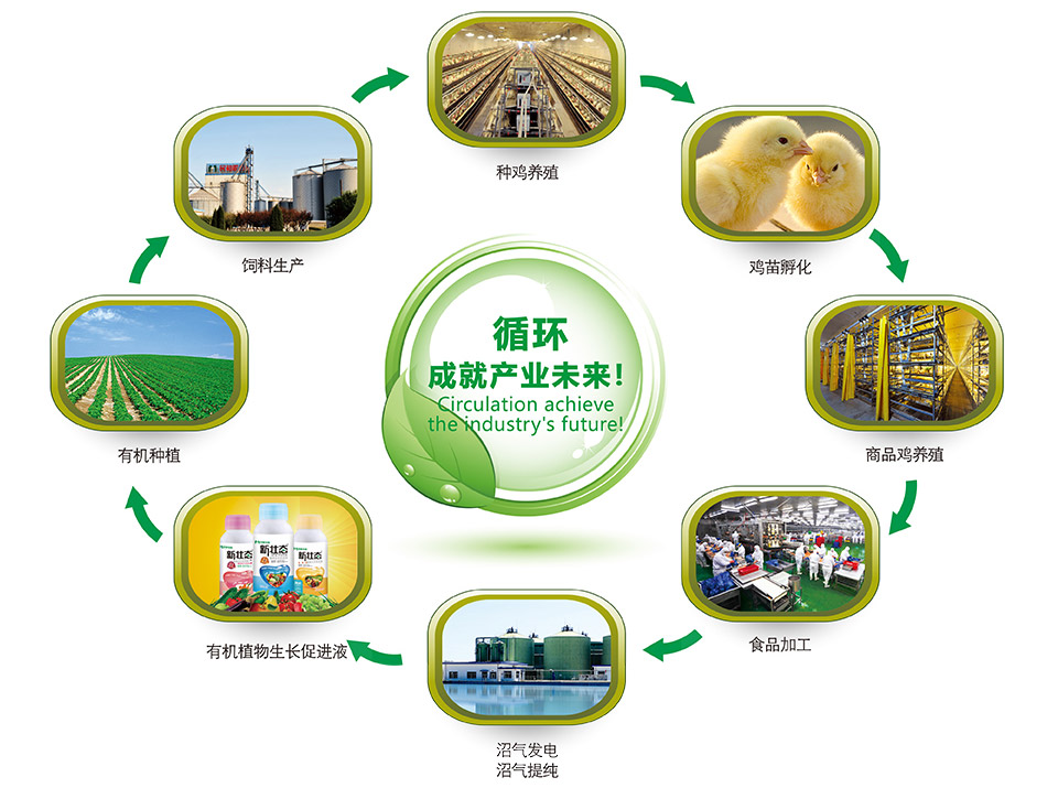 關(guān)于民和 - 山東民和生物科技