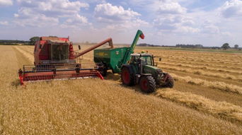 重磅 2019中央農(nóng)村工作會(huì)議部署,事關(guān)農(nóng)業(yè)人的未來