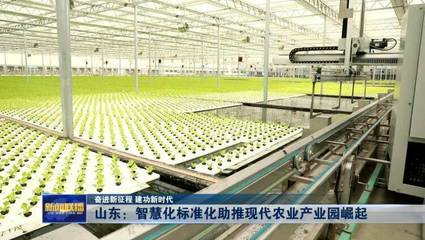山東:智慧化標(biāo)準(zhǔn)化助推現(xiàn)代農(nóng)業(yè)產(chǎn)業(yè)園崛起