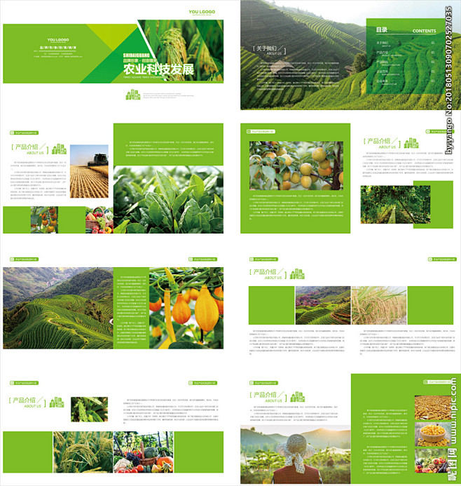 中墾集團(tuán)湖北神農(nóng)架特產(chǎn)畫冊|平面|宣傳品|liukaien - 站