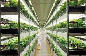 【創(chuàng)新】農(nóng)業(yè)科技亮點(diǎn),東方紅400馬力無級變速拖拉機(jī)上榜!