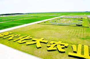 為什么要發(fā)展現(xiàn)代農(nóng)業(yè)