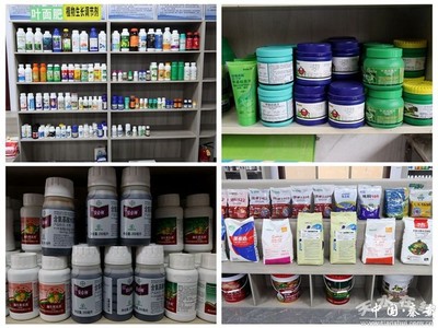 秦安:農(nóng)資儲備充足 春耕不誤農(nóng)時(圖)