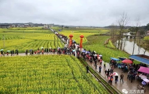 10個農(nóng)業(yè)新玩法,有些人正用這些賺錢