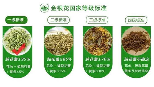 廣西巴馬意生活生態農業產品正式上市 健康農業新標桿，綠色生活新風尚